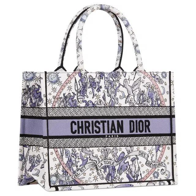 DIOR BookTote Tote