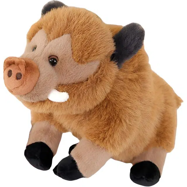 FKOFR 25cm30cm