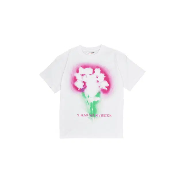 THE MUSEUM VISITOR T