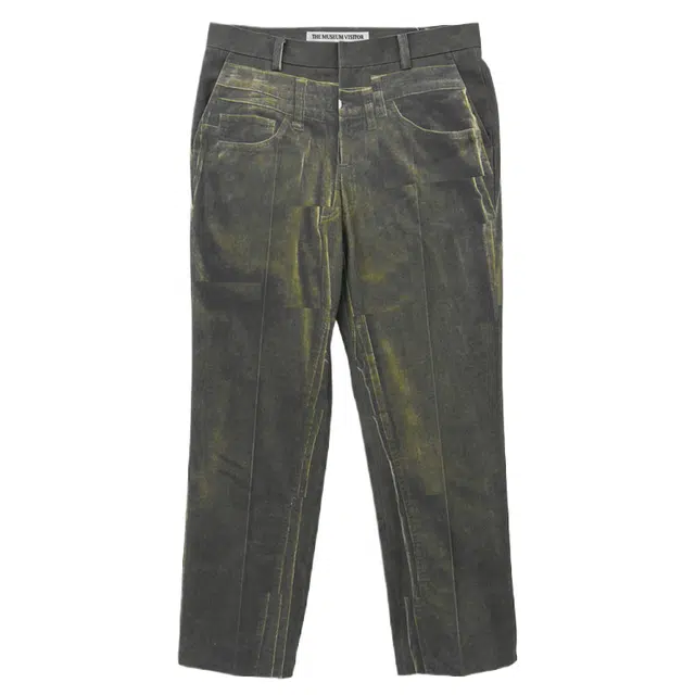 THE MUSEUM VISITOR 2020