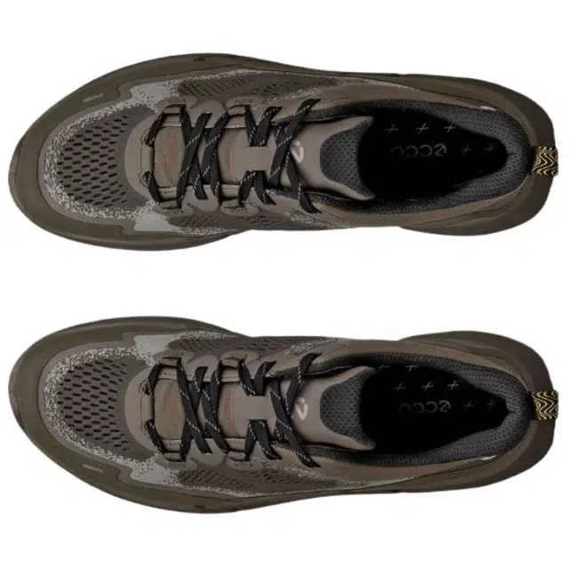 ecco Biom 2.2