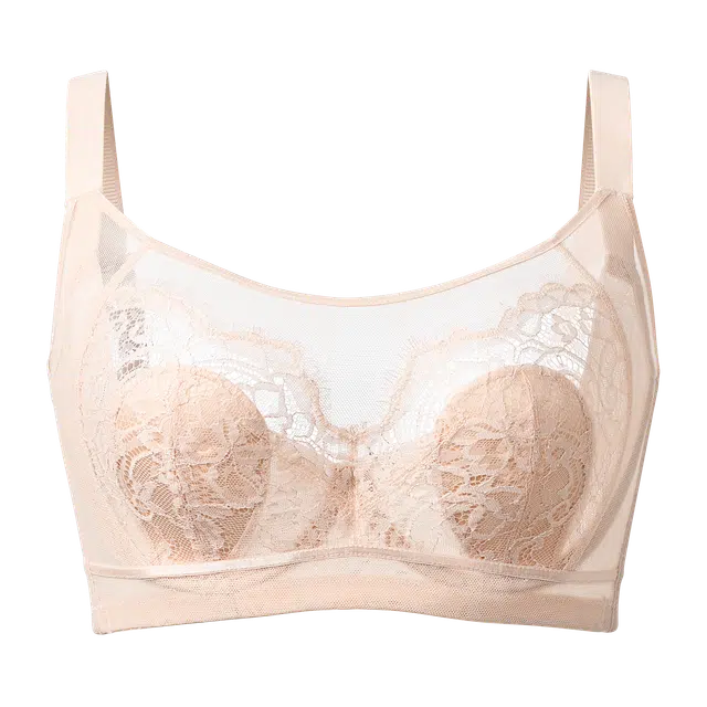 古今 大胸显小聚拢软钢圈凉感蕾丝兔耳杯文胸 女款