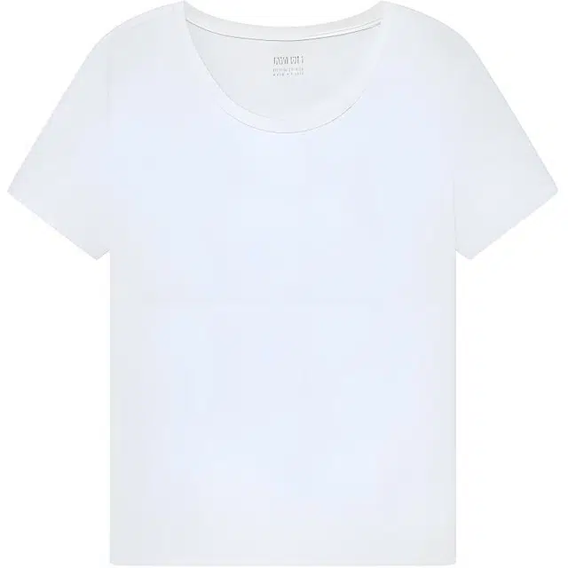 Logo T