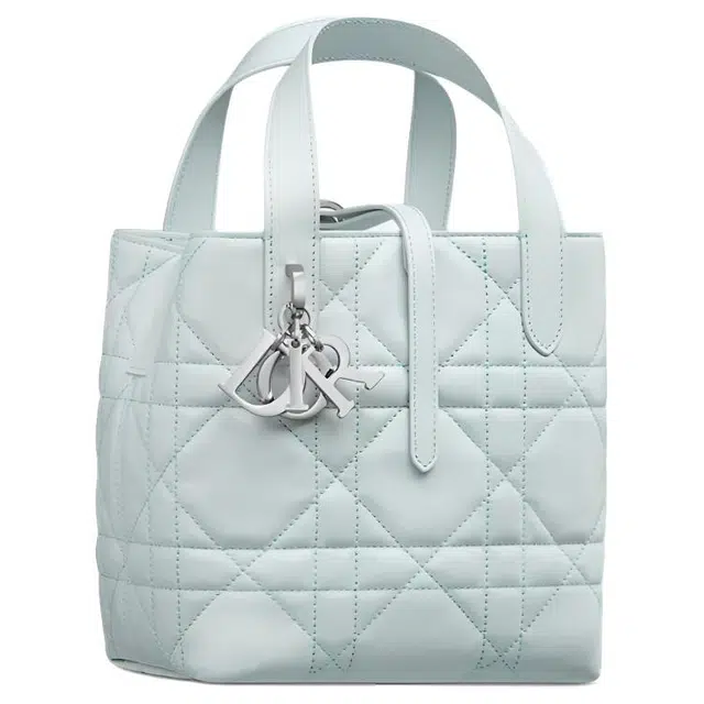 DIOR Toujours Tote