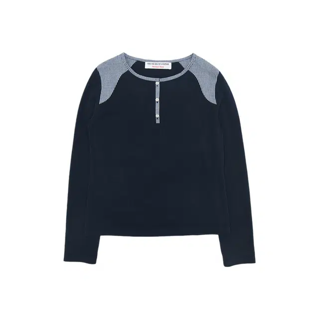 THE MUSEUM VISITOR T