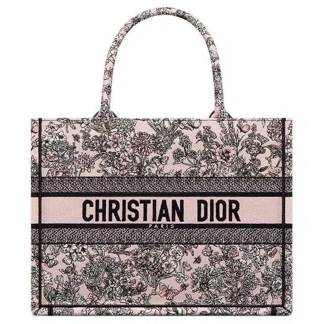 DIOR BookTote Tote