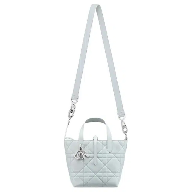 DIOR Toujours Tote