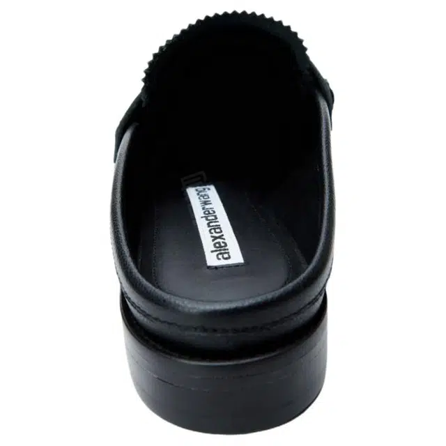 alexander wang Carter