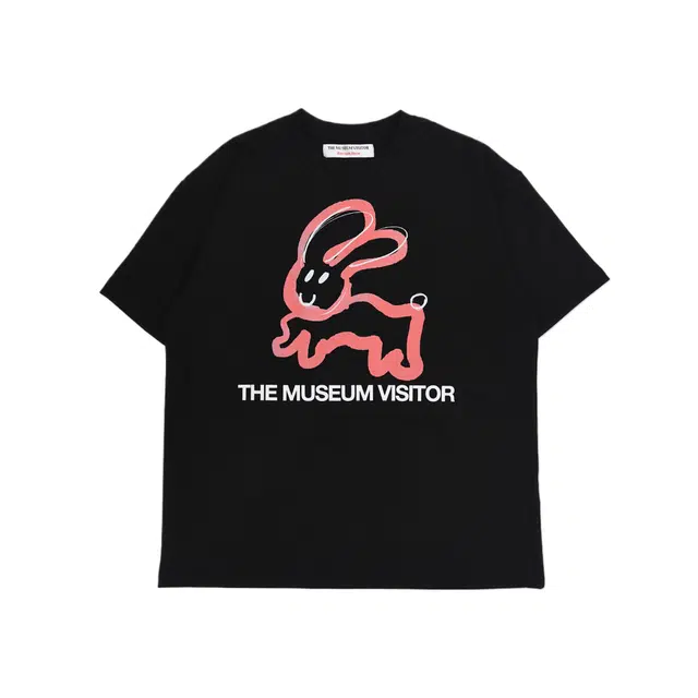 THE MUSEUM VISITOR T