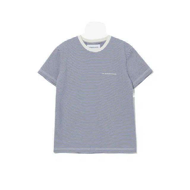 THE MUSEUM VISITOR T