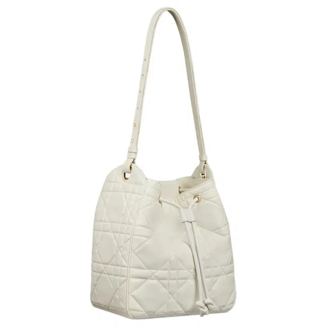 DIOR D-Motion