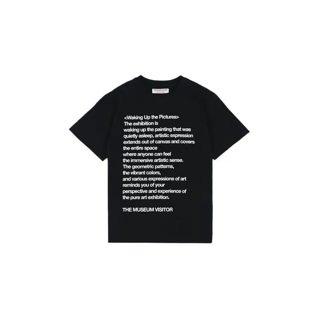 THE MUSEUM VISITOR T