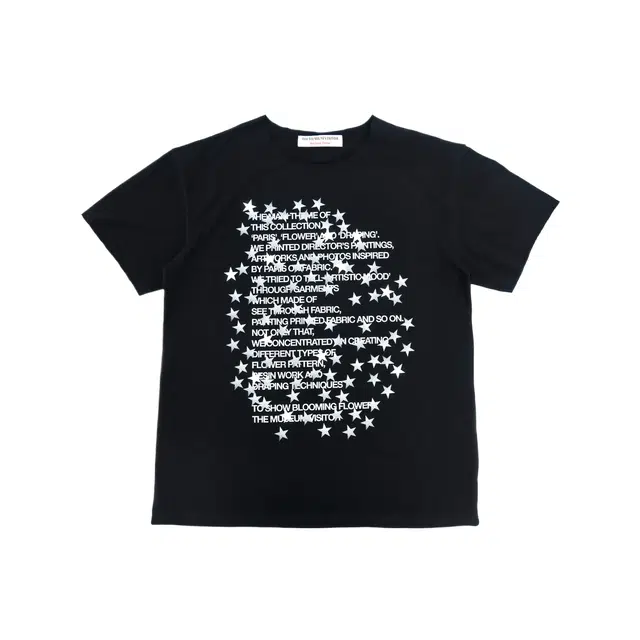 THE MUSEUM VISITOR T