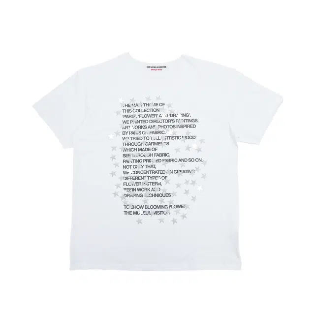 THE MUSEUM VISITOR T