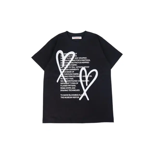 THE MUSEUM VISITOR T