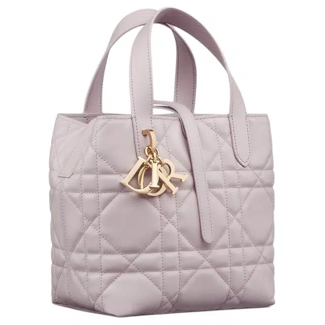 DIOR Toujours