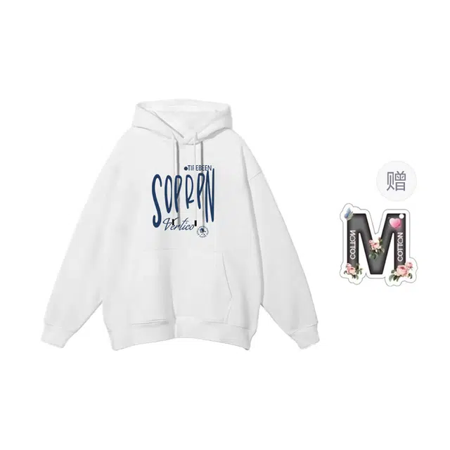 棉购 美式字母印花秋冬连帽韩版宽松学院风纯棉舒适加绒加厚立体卫衣 男女同款