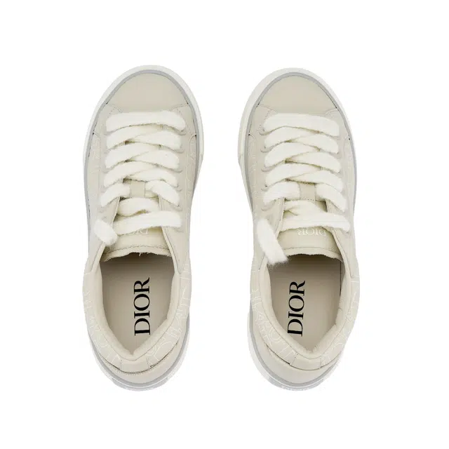 DIOR B33