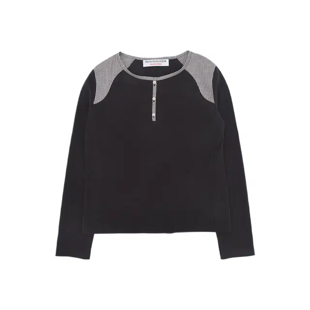 THE MUSEUM VISITOR T