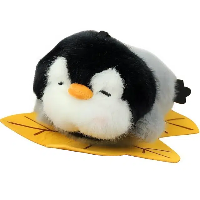 12cm