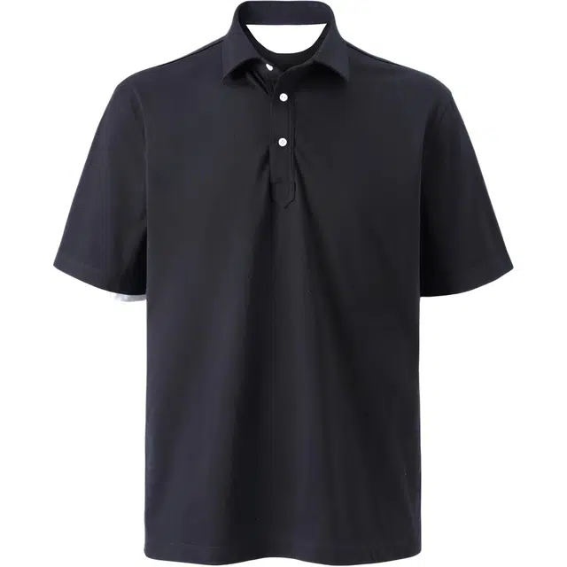 SEE ALSO Polo