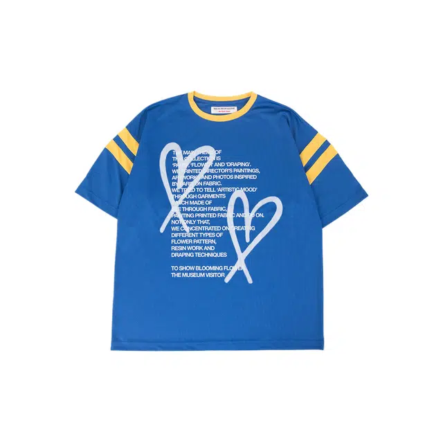 THE MUSEUM VISITOR T