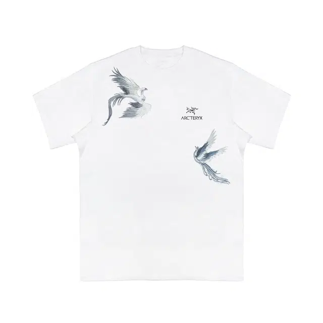 Arcteryx KRAGG Extraordinary T