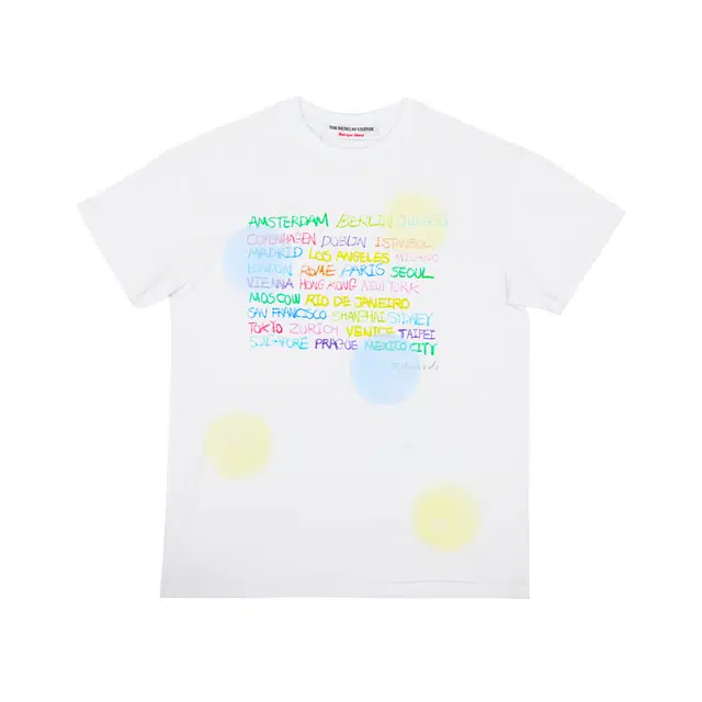 THE MUSEUM VISITOR T