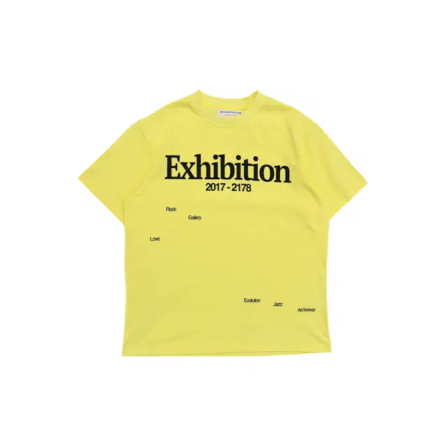THE MUSEUM VISITOR T