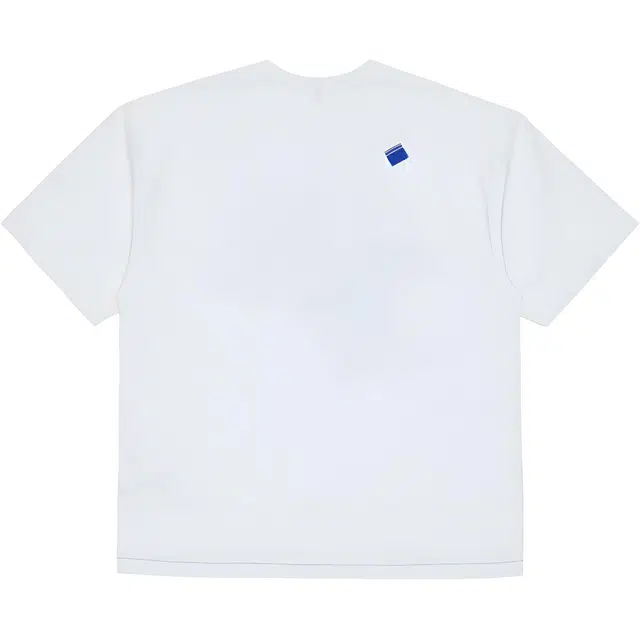 ADER ERROR T