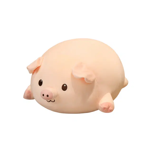 40cm50cm60cm80cm100cm