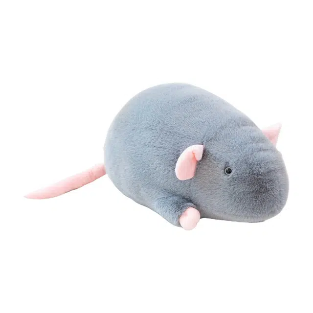 Brangdy 18cm35cm65cm