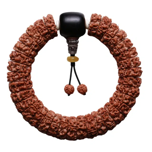 宣华意 新中式时尚感复古设计 精品五瓣 扇面红皮 牛角三通 意志坚定 财运亨通 平安顺遂#好运 金刚菩提 手串 男女同款情侣款