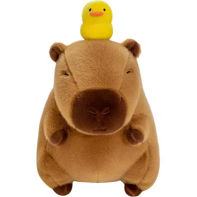 25cm35cm45cm55cm95cm