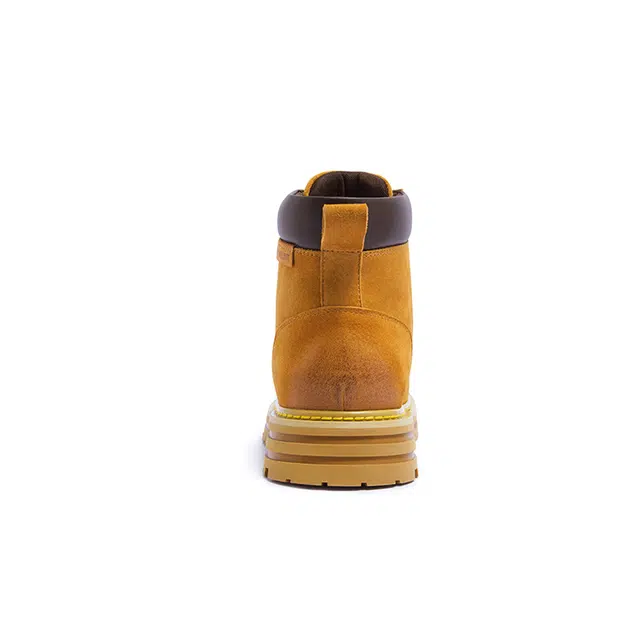 x CAMEL