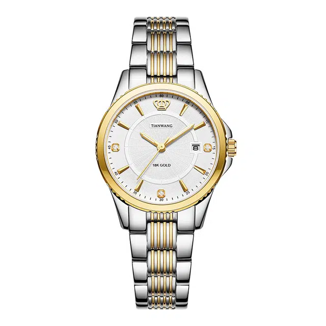 TIANWANG 18klogo 3731