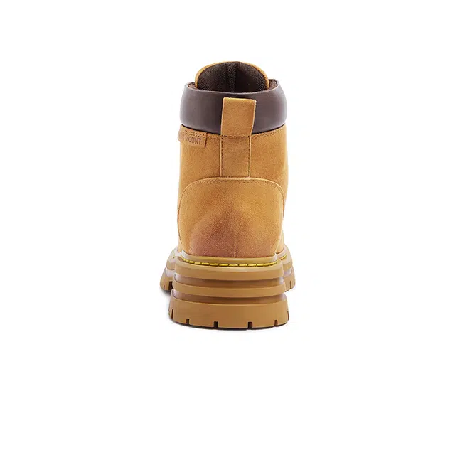 x CAMEL