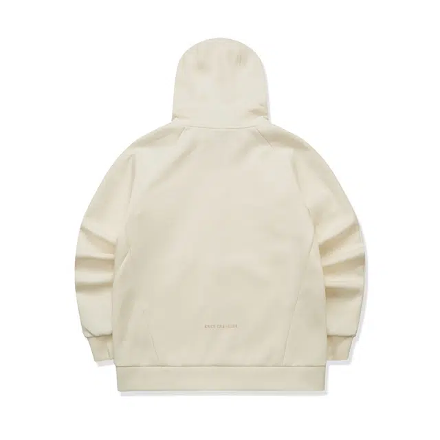 logo DS