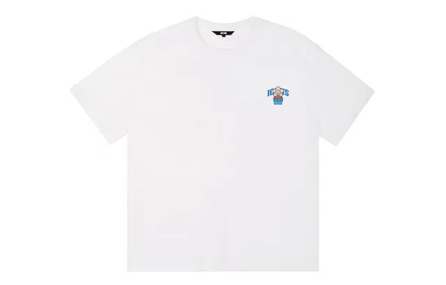ICONS Lab ICS T