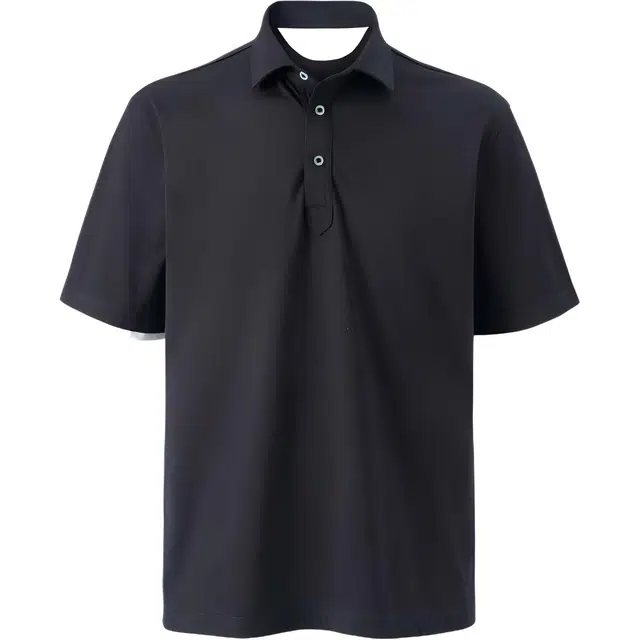 SEE ALSO Polo