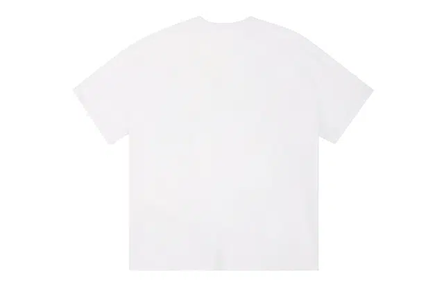 ICONS Lab ICS T