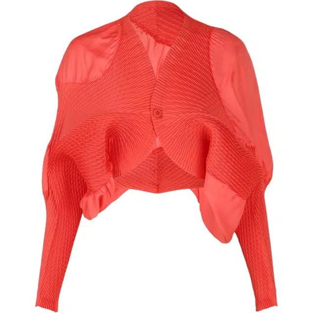 ISSEY MIYAKE FW25