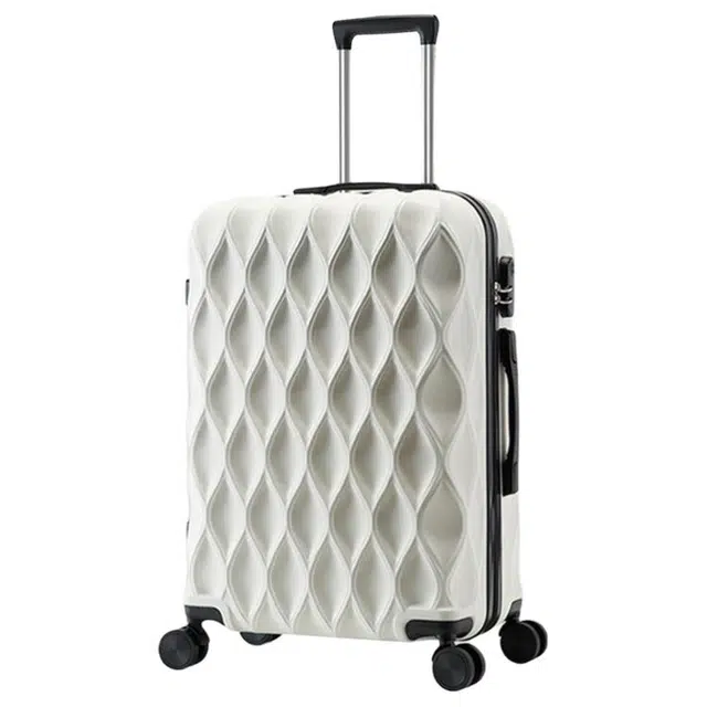 BLAKE FLEETO ABS 2024262228