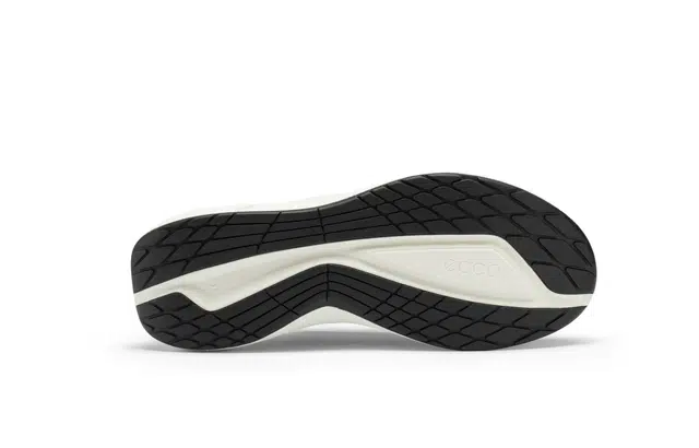 ecco Biom 2.2