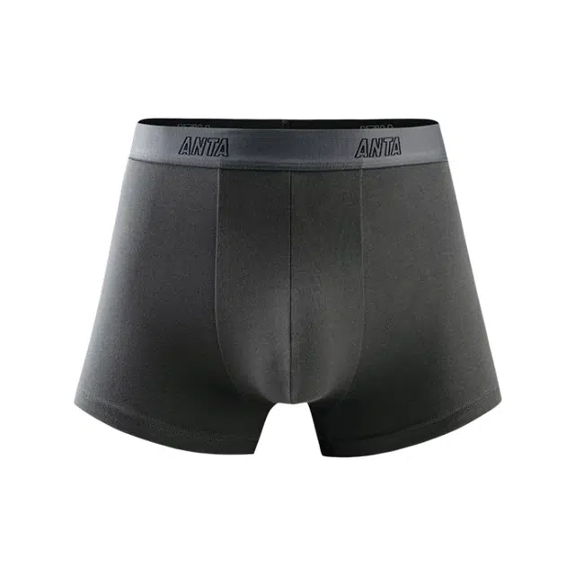 Anta 1