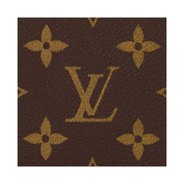 LOUIS VUITTON Multiple