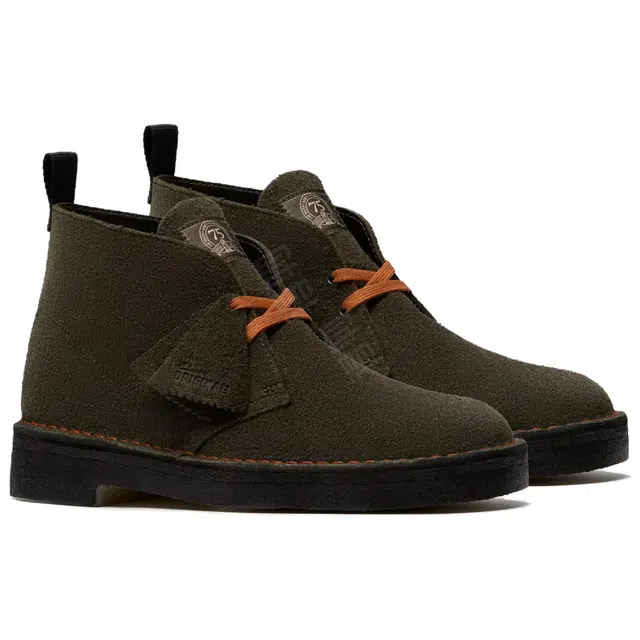 Clarks Desert