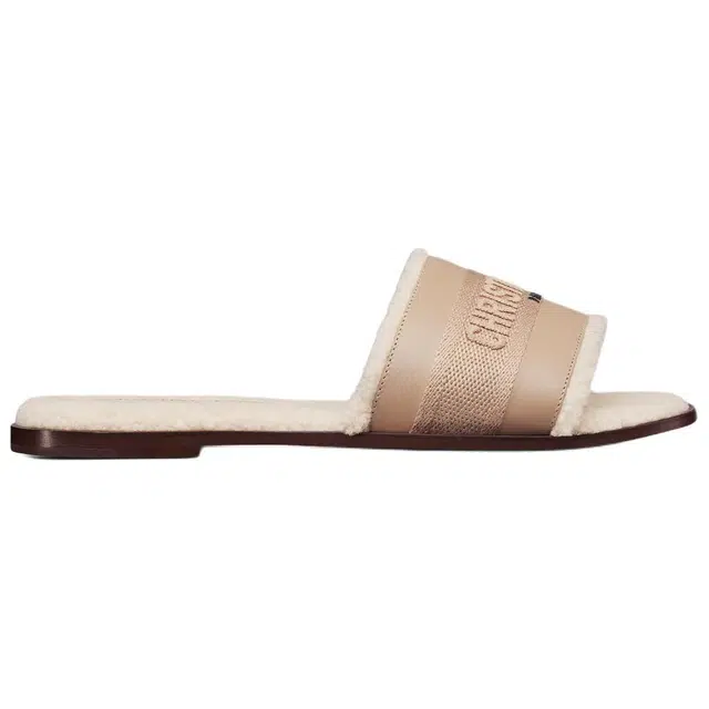 DIOR Dway