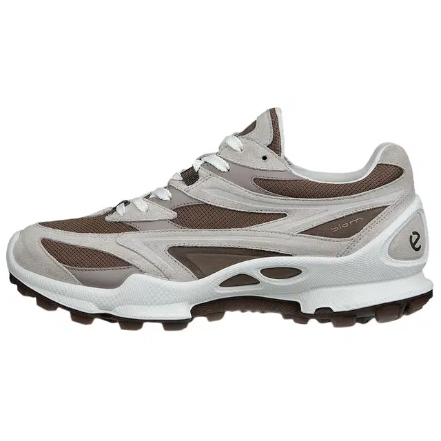 ecco Biom C Trail