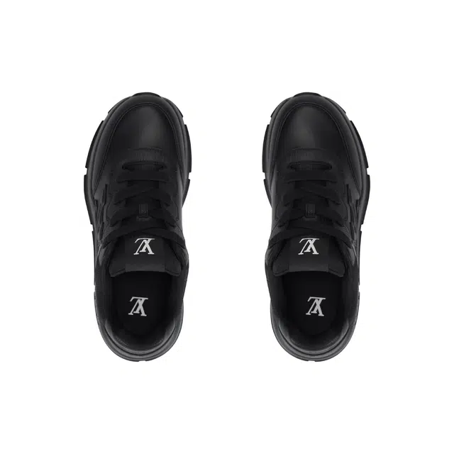 LOUIS VUITTON 2025 Classic
